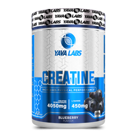 CREATINA CON SABOR 300 g
